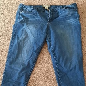 Size 18 Democracy Ankle jeans